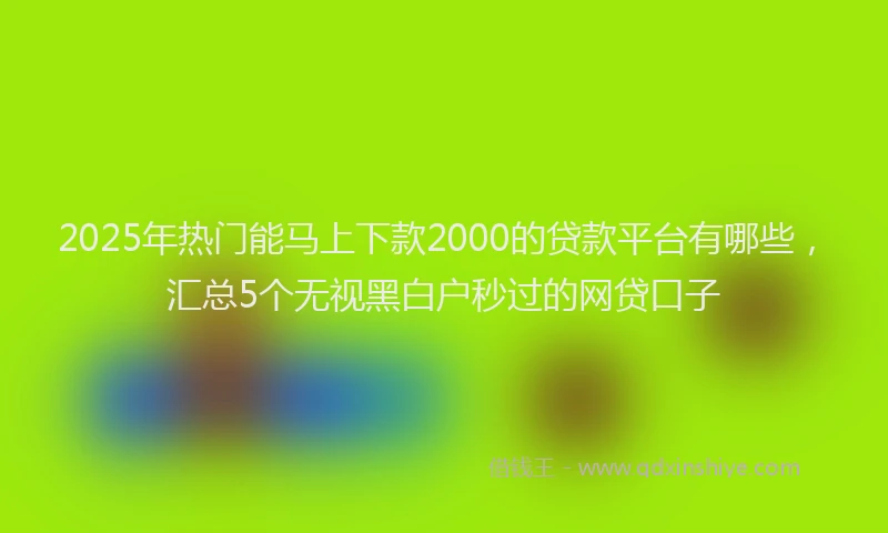 2025年热门能马上下款2000的贷款平台有哪些，汇总5个无视黑白户秒过的网贷口子