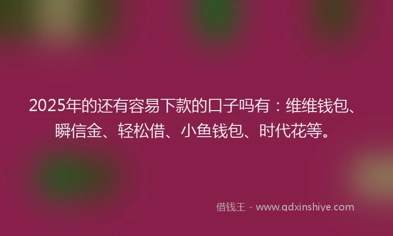 2025年的还有容易下款的口子吗有：维维钱包、瞬信金、轻松借、小鱼钱包、时代花等。