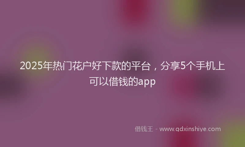 2025年热门花户好下款的平台，分享5个手机上可以借钱的app