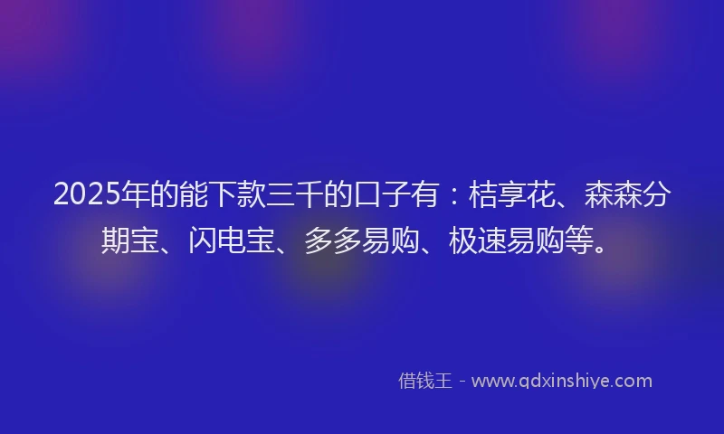 2025年的能下款三千的口子有：桔享花、森森分期宝、闪电宝、多多易购、极速易购等。