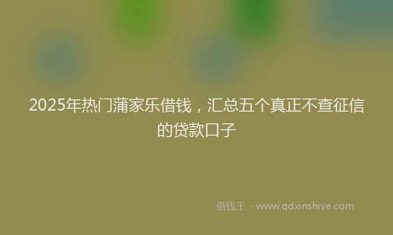 2025年热门蒲家乐借钱，汇总五个真正不查征信的贷款口子