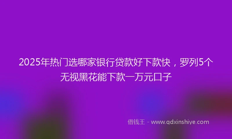 2025年热门选哪家银行贷款好下款快，罗列5个无视黑花能下款一万元口子