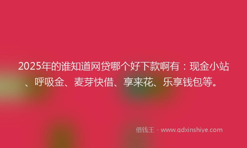 2025年的谁知道网贷哪个好下款啊有：现金小站、呼吸金、麦芽快借、享来花、乐享钱包等。