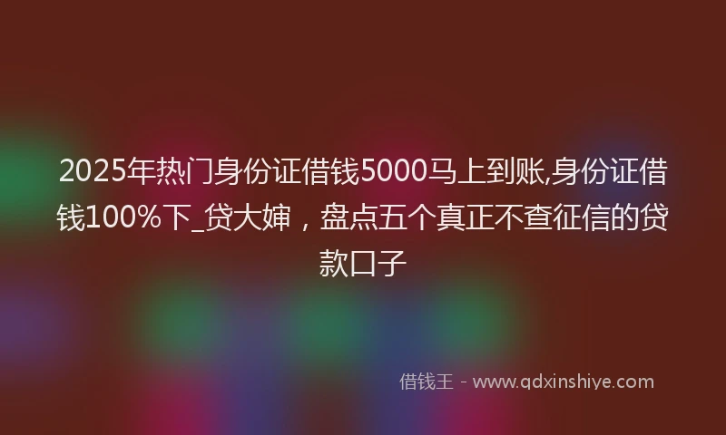 2025年热门身份证借钱5000马上到账,身份证借钱100%下_贷大婶，盘点五个真正不查征信的贷款口子