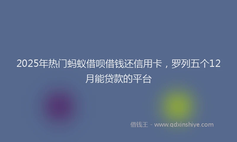 2025年热门蚂蚁借呗借钱还信用卡，罗列五个12月能贷款的平台