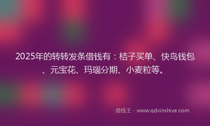 2025年的转转发条借钱有：桔子买单、快鸟钱包、元宝花、玛瑙分期、小麦粒等。