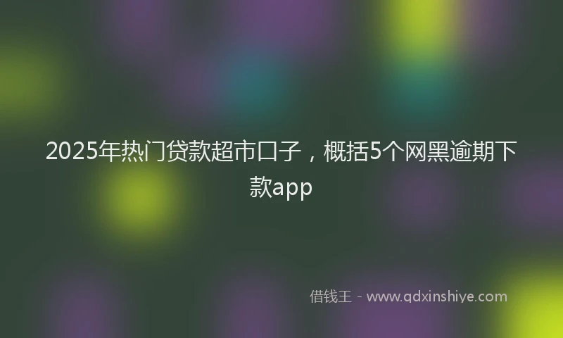 2025年热门贷款超市口子，概括5个网黑逾期下款app