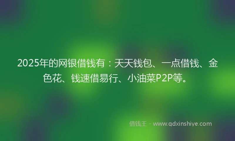 2025年的网银借钱有：天天钱包、一点借钱、金色花、钱速借易行、小油菜P2P等。