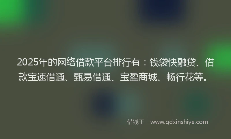 2025年的网络借款平台排行有：钱袋快融贷、借款宝速借通、甄易借通、宝盈商城、畅行花等。