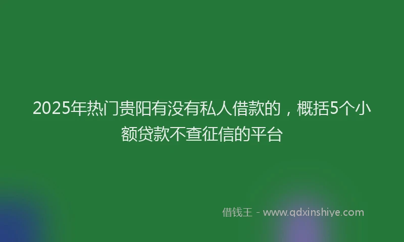 2025年热门贵阳有没有私人借款的，概括5个小额贷款不查征信的平台