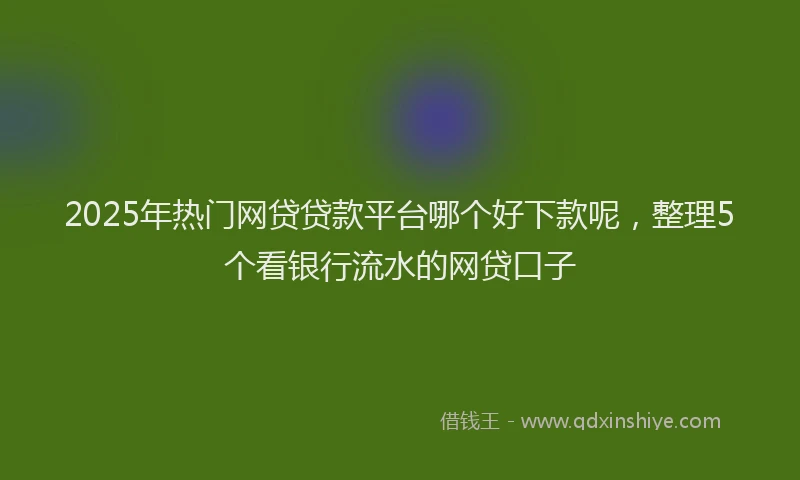 2025年热门网贷贷款平台哪个好下款呢，整理5个看银行流水的网贷口子