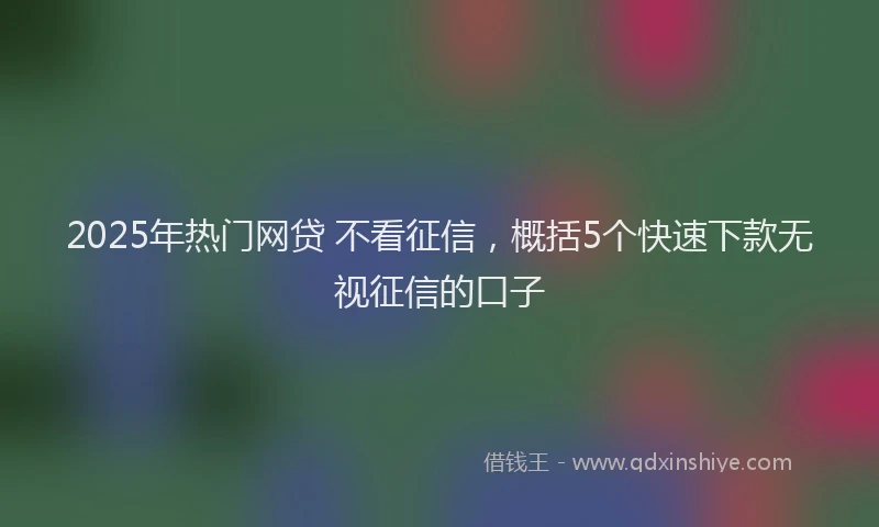2025年热门网贷 不看征信，概括5个快速下款无视征信的口子