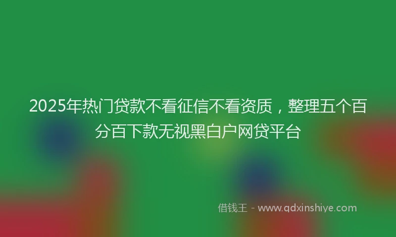 2025年热门贷款不看征信不看资质，整理五个百分百下款无视黑白户网贷平台