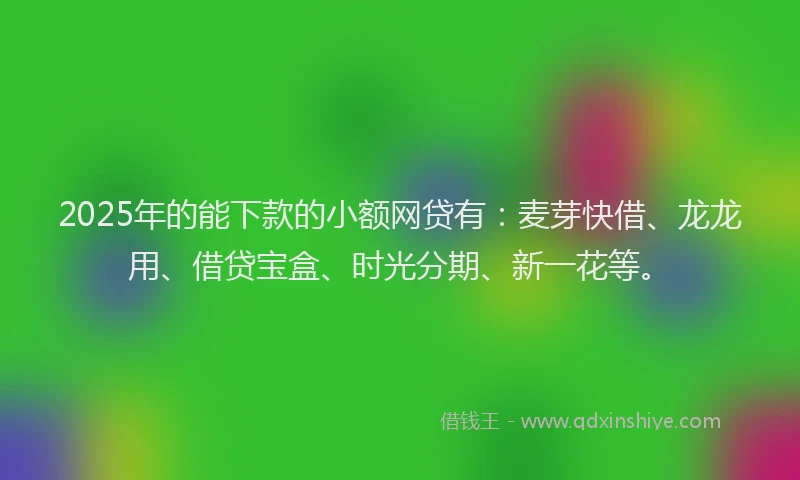 2025年的能下款的小额网贷有：麦芽快借、龙龙用、借贷宝盒、时光分期、新一花等。