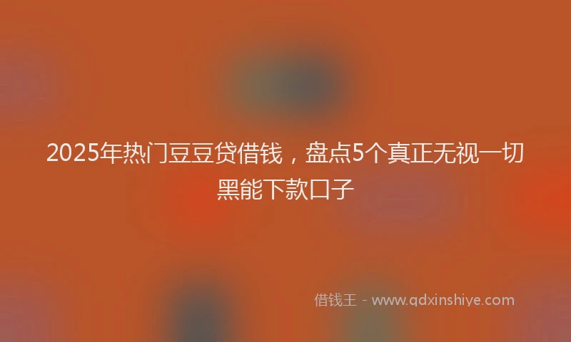 2025年热门豆豆贷借钱，盘点5个真正无视一切黑能下款口子