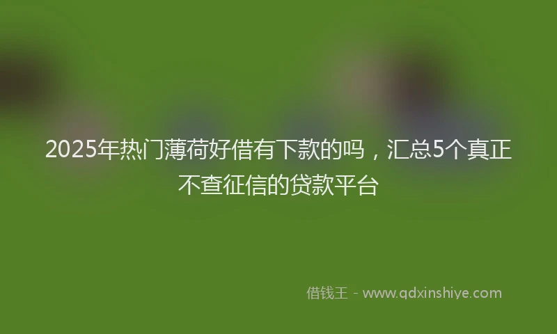 2025年热门薄荷好借有下款的吗，汇总5个真正不查征信的贷款平台