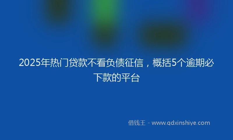 2025年热门贷款不看负债征信，概括5个逾期必下款的平台