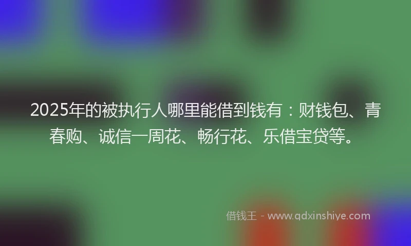 2025年的被执行人哪里能借到钱有：财钱包、青春购、诚信一周花、畅行花、乐借宝贷等。
