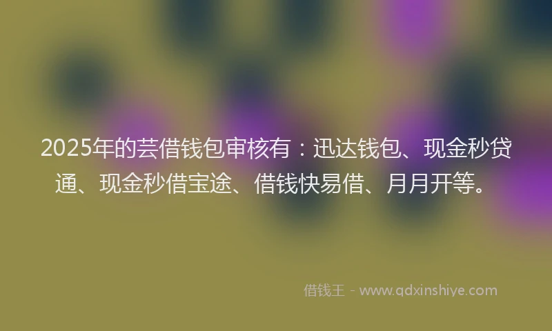 2025年的芸借钱包审核有：迅达钱包、现金秒贷通、现金秒借宝途、借钱快易借、月月开等。