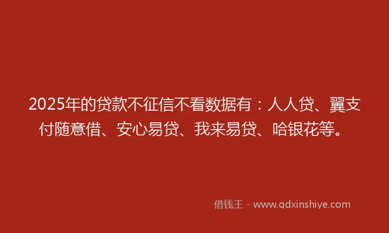 2025年的贷款不征信不看数据有：人人贷、翼支付随意借、安心易贷、我来易贷、哈银花等。