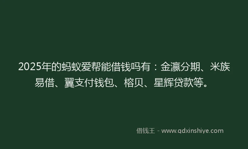 2025年的蚂蚁爱帮能借钱吗有：金瀛分期、米族易借、翼支付钱包、榕贝、星辉贷款等。