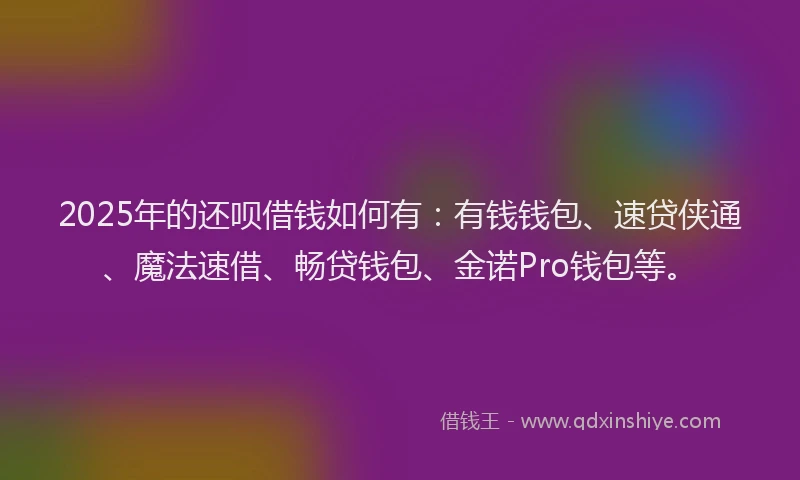 2025年的还呗借钱如何有：有钱钱包、速贷侠通、魔法速借、畅贷钱包、金诺Pro钱包等。