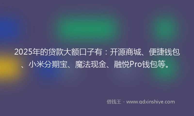 2025年的贷款大额口子有：开源商城、便捷钱包、小米分期宝、魔法现金、融悦Pro钱包等。