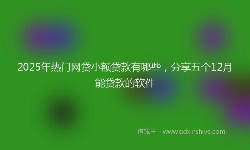 2025年热门网贷小额贷款有哪些，分享五个12月能贷款的软件