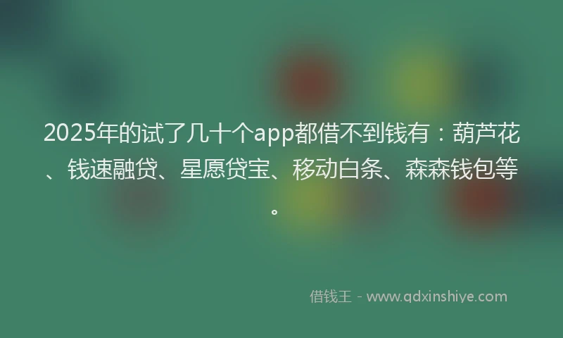 2025年的试了几十个app都借不到钱有：葫芦花、钱速融贷、星愿贷宝、移动白条、森森钱包等。