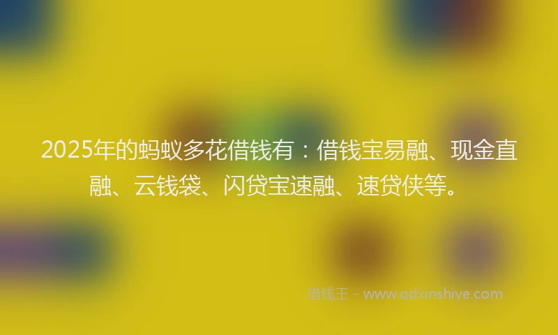 2025年的蚂蚁多花借钱有：借钱宝易融、现金直融、云钱袋、闪贷宝速融、速贷侠等。