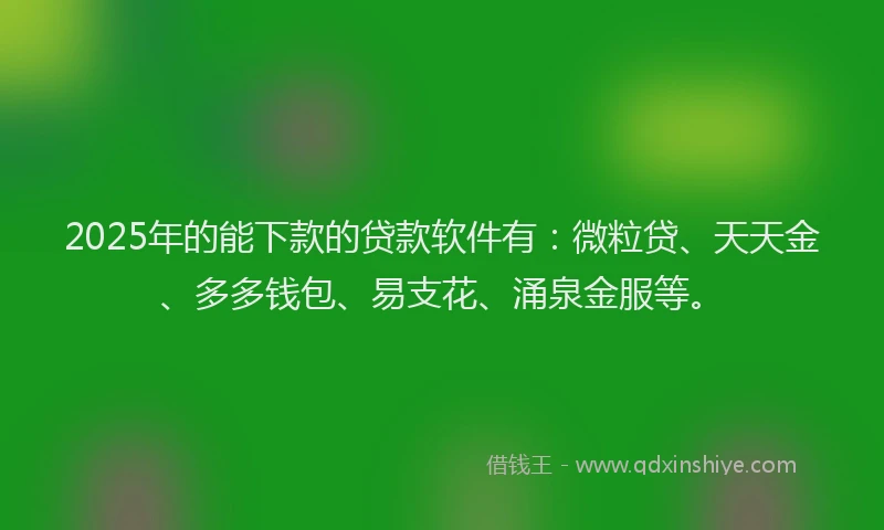 2025年的能下款的贷款软件有：微粒贷、天天金、多多钱包、易支花、涌泉金服等。