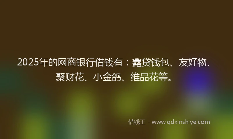 2025年的网商银行借钱有：鑫贷钱包、友好物、聚财花、小金鸽、维品花等。