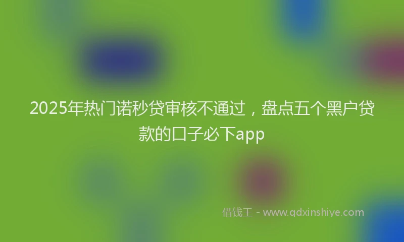 2025年热门诺秒贷审核不通过，盘点五个黑户贷款的口子必下app