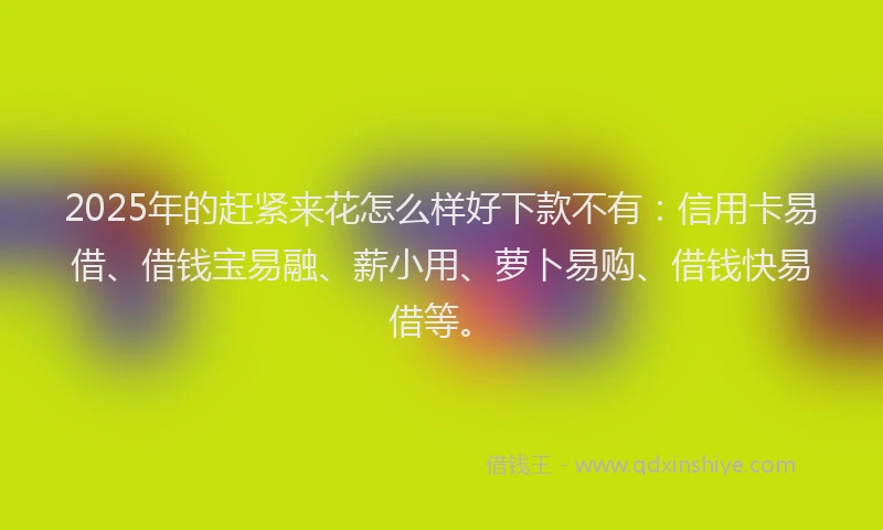 2025年的赶紧来花怎么样好下款不有：信用卡易借、借钱宝易融、薪小用、萝卜易购、借钱快易借等。