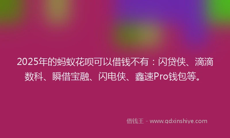 2025年的蚂蚁花呗可以借钱不有：闪贷侠、滴滴数科、瞬借宝融、闪电侠、鑫速Pro钱包等。