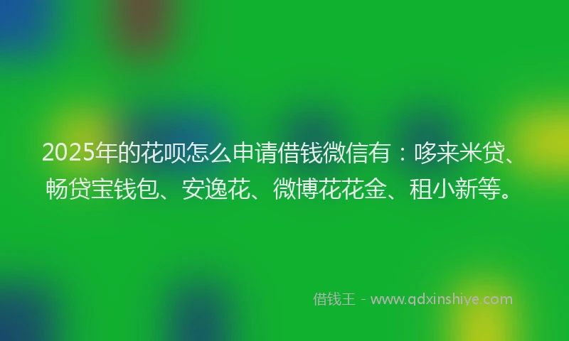2025年的花呗怎么申请借钱微信有：哆来米贷、畅贷宝钱包、安逸花、微博花花金、租小新等。