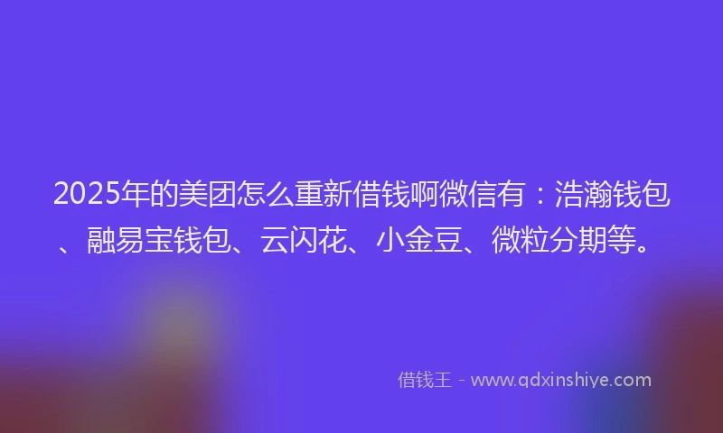 2025年的美团怎么重新借钱啊微信有：浩瀚钱包、融易宝钱包、云闪花、小金豆、微粒分期等。