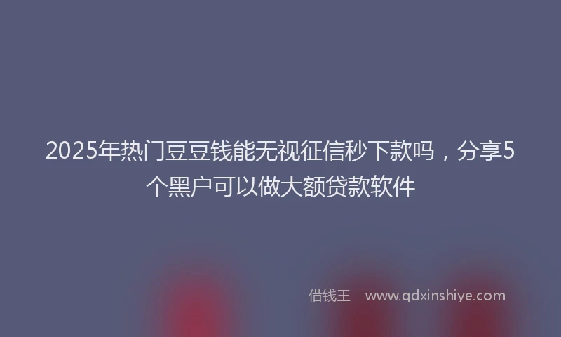 2025年热门豆豆钱能无视征信秒下款吗，分享5个黑户可以做大额贷款软件