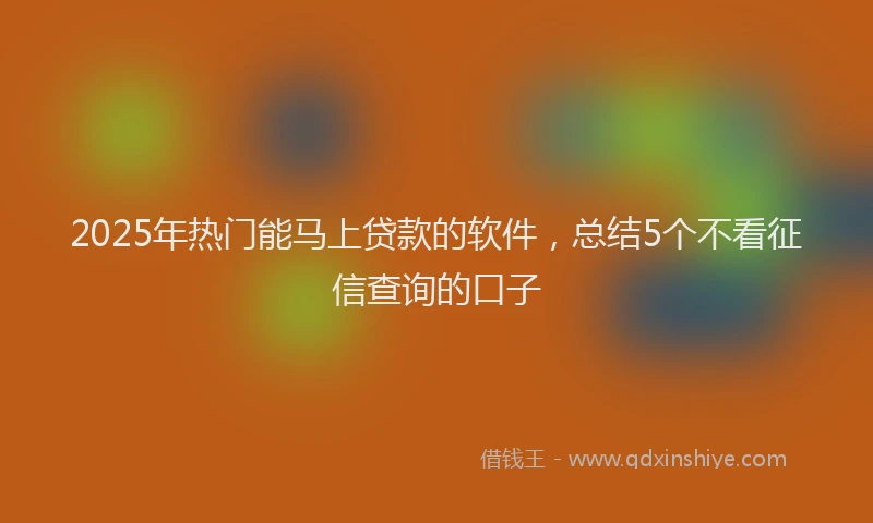 2025年热门能马上贷款的软件，总结5个不看征信查询的口子