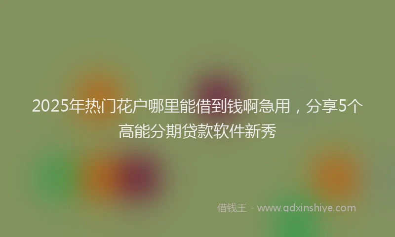 2025年热门花户哪里能借到钱啊急用，分享5个高能分期贷款软件新秀