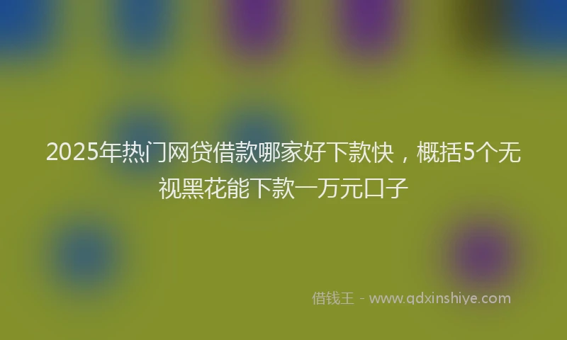2025年热门网贷借款哪家好下款快，概括5个无视黑花能下款一万元口子