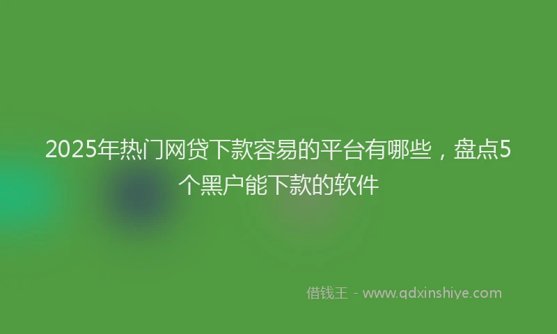 2025年热门网贷下款容易的平台有哪些，盘点5个黑户能下款的软件