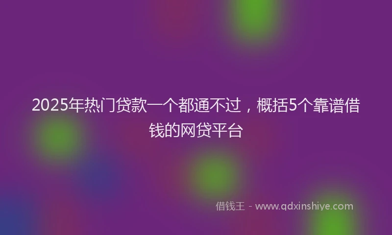 2025年热门贷款一个都通不过，概括5个靠谱借钱的网贷平台