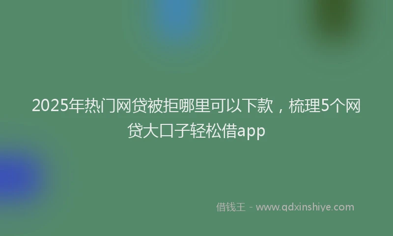 2025年热门网贷被拒哪里可以下款，梳理5个网贷大口子轻松借app