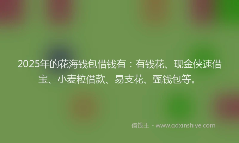 2025年的花海钱包借钱有：有钱花、现金侠速借宝、小麦粒借款、易支花、甄钱包等。