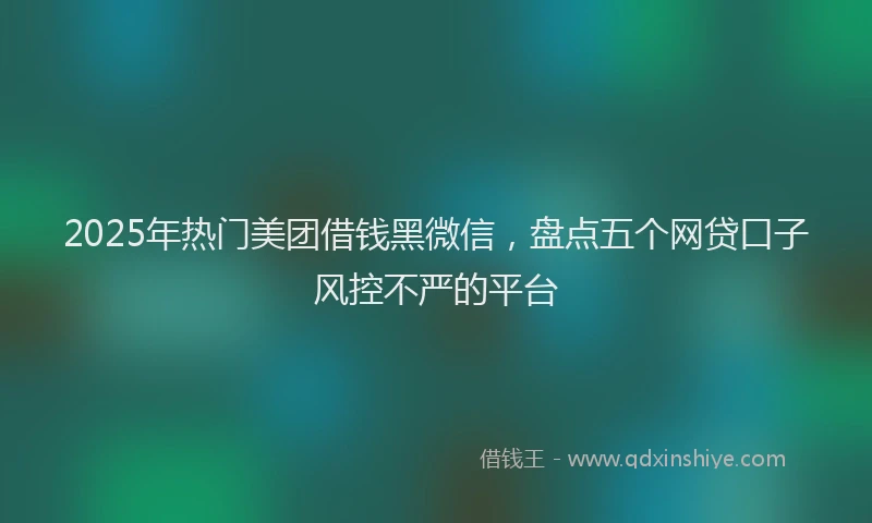 2025年热门美团借钱黑微信，盘点五个网贷口子风控不严的平台