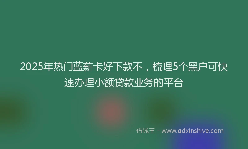 2025年热门蓝薪卡好下款不，梳理5个黑户可快速办理小额贷款业务的平台