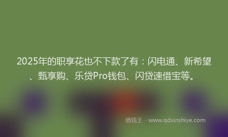 2025年的职享花也不下款了有：闪电通、新希望、甄享购、乐贷Pro钱包、闪贷速借宝等。
