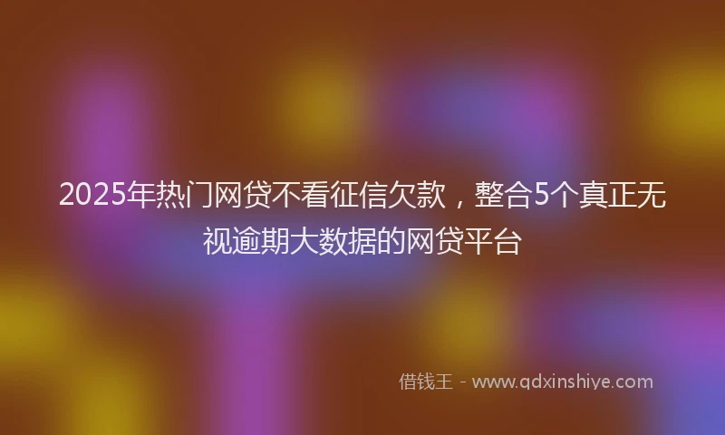 2025年热门网贷不看征信欠款，整合5个真正无视逾期大数据的网贷平台