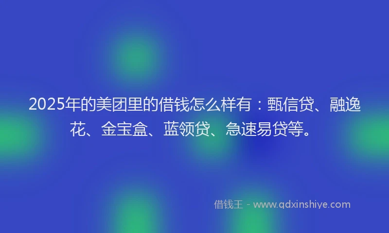2025年的美团里的借钱怎么样有：甄信贷、融逸花、金宝盒、蓝领贷、急速易贷等。